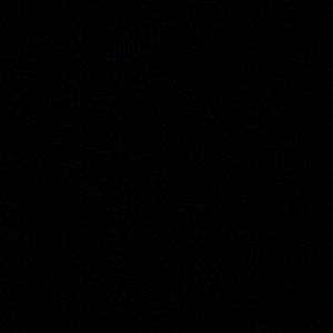 Meet your Posher, Shane